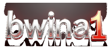 bwina1 logo